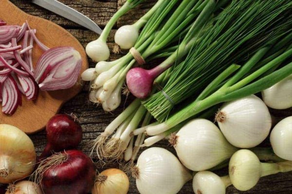 Kraken рабочее зеркало onion