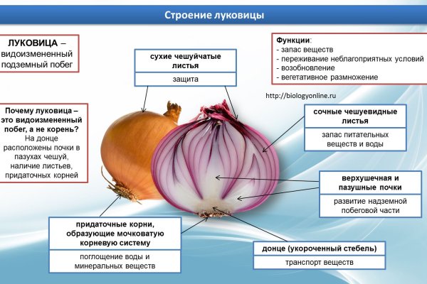 Кракен шоп зеркало